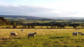 Lovely views over Hexhamshire rural Northumberland